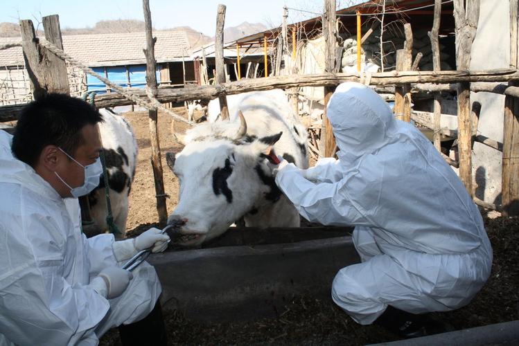 k">门头沟区动物疫病预防控制中心是北京市门头沟区兽医技术支持机构