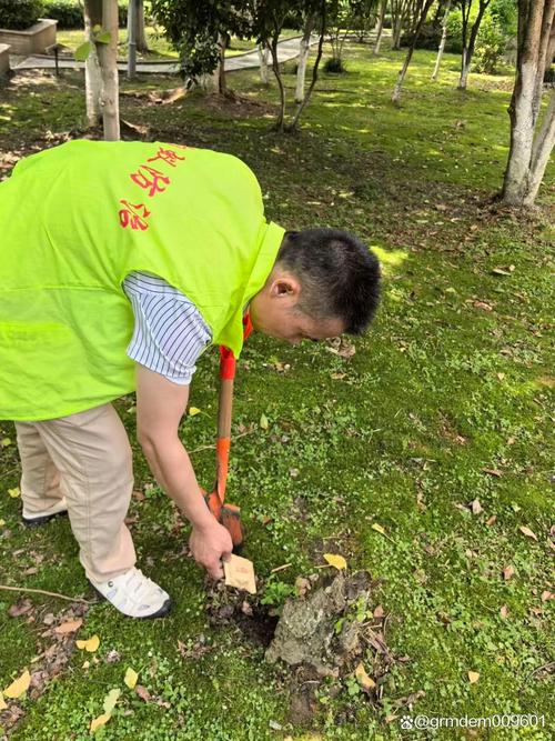 静安区白蚁防治