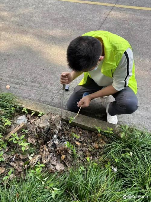 选择官方的防治机构,能获得本地化的技术支持与资源