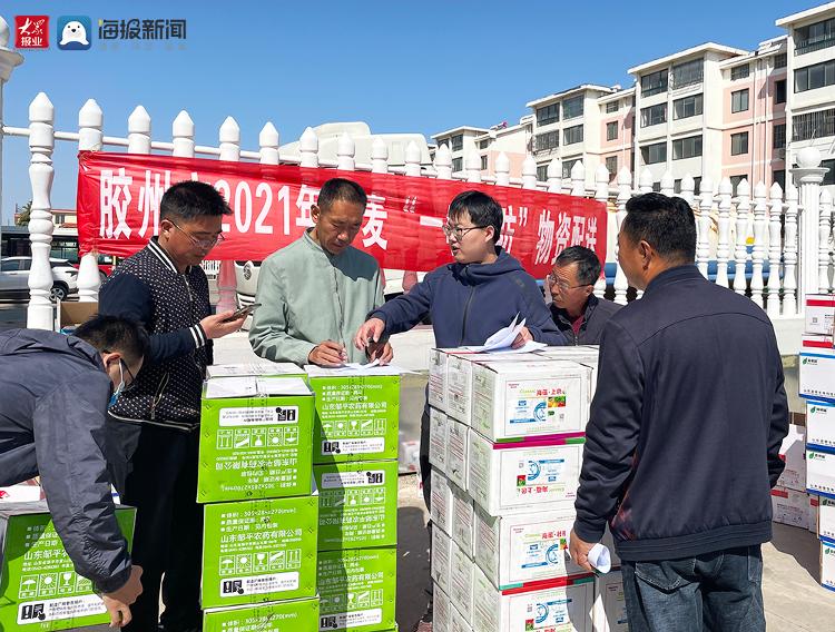 "一喷三防"物资发放 胶州市农业农村局提前应对小麦病虫害